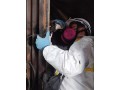 Visual Inspection